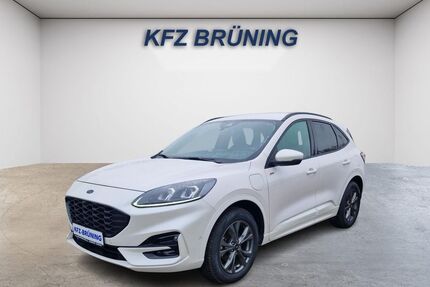 Ford Kuga Gebrauchtwagen