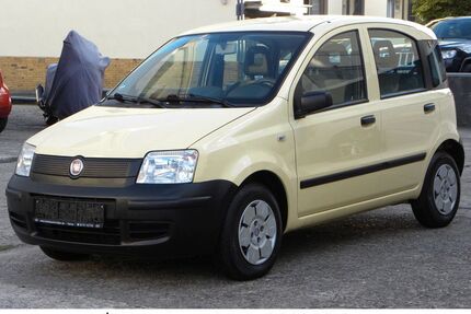 Fiat New Panda Gebrauchtwagen