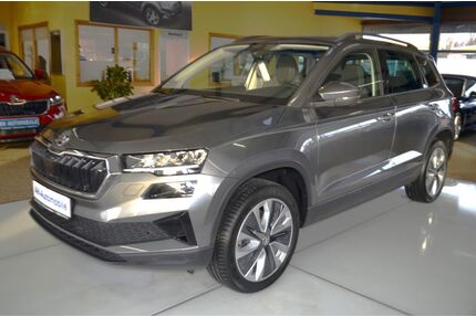 Skoda Karoq Gebrauchtwagen
