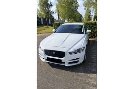 Jaguar XE Gebrauchtwagen