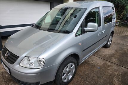 VW Caddy Gebrauchtwagen