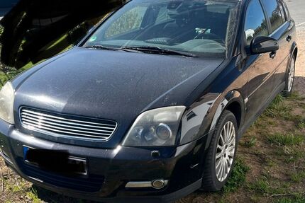 Opel Signum Gebrauchtwagen