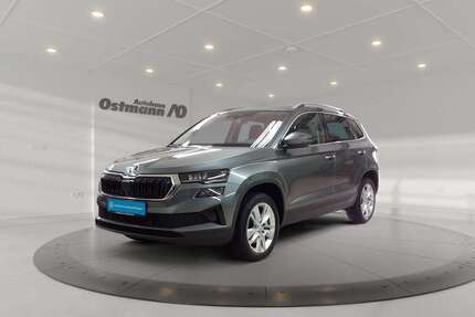 Skoda Karoq Gebrauchtwagen