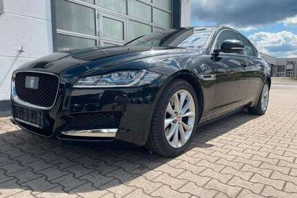 Jaguar XF Gebrauchtwagen