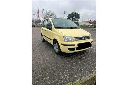 Fiat Panda Gebrauchtwagen