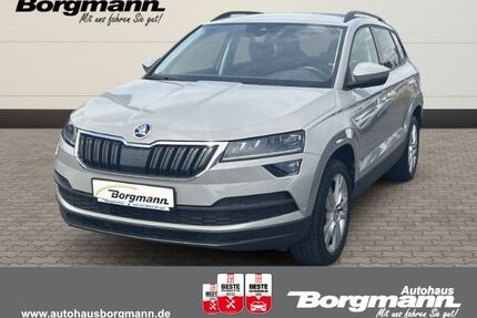 Skoda Karoq Gebrauchtwagen