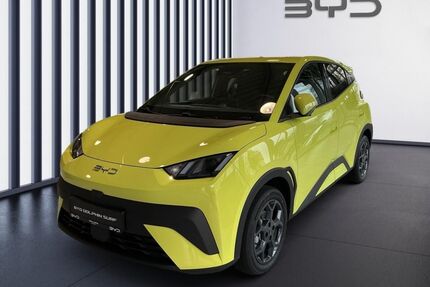 BYD DOLPHIN Gebrauchtwagen