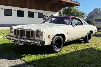 Chevrolet Chevelle Gebrauchtwagen