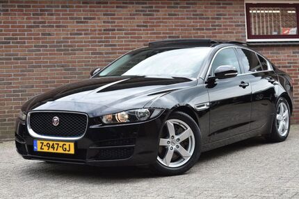 Jaguar XE Gebrauchtwagen