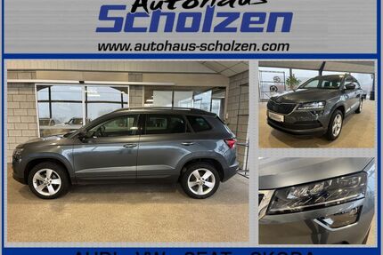 Skoda Karoq Gebrauchtwagen