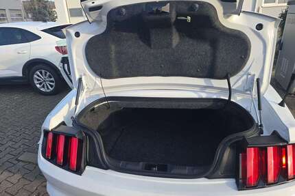 Ford Mustang Gebrauchtwagen
