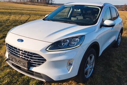 Ford Kuga Gebrauchtwagen