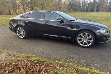 Jaguar XJ Gebrauchtwagen