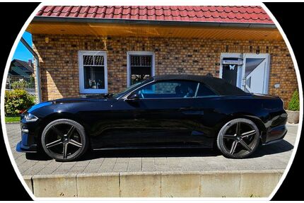 Ford Mustang Gebrauchtwagen