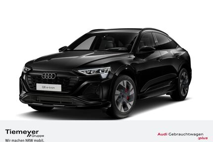 Audi Q8 e-tron Gebrauchtwagen