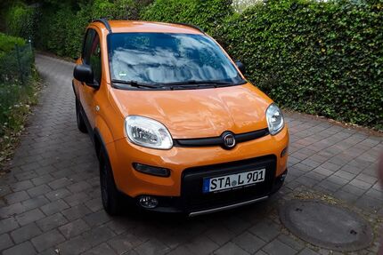 Fiat Panda Gebrauchtwagen