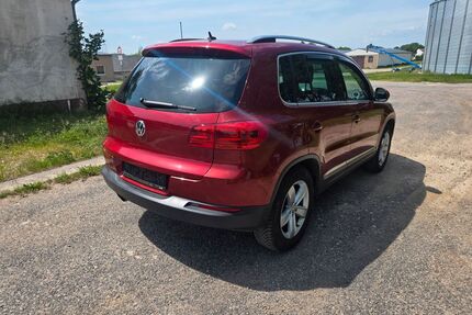 VW Tiguan Gebrauchtwagen