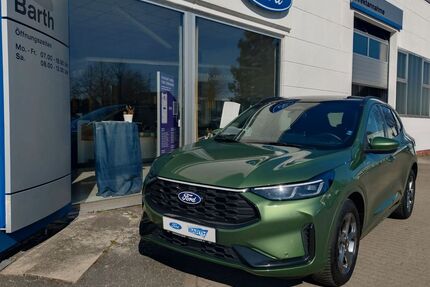 Ford Kuga Gebrauchtwagen