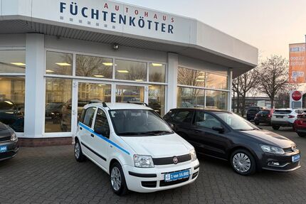 Fiat Panda Gebrauchtwagen