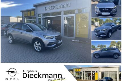 Opel Grandland (X) Gebrauchtwagen