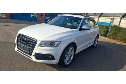 Audi SQ5 Gebrauchtwagen
