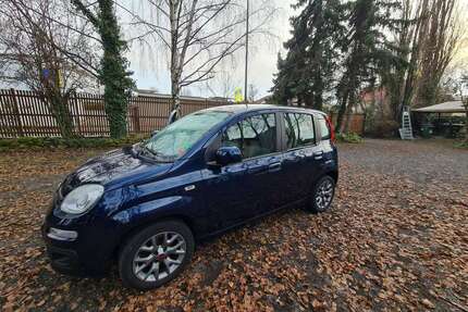 Fiat Panda Gebrauchtwagen