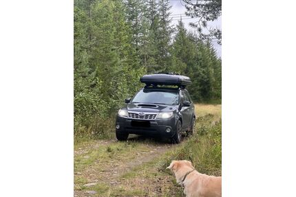 Subaru Forester Gebrauchtwagen