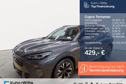 Cupra Terramar Gebrauchtwagen