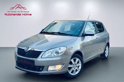Skoda Fabia Gebrauchtwagen