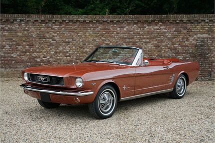 Ford Mustang Gebrauchtwagen