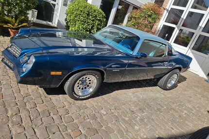 Chevrolet Camaro Gebrauchtwagen