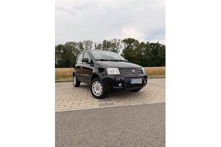 Fiat Panda Gebrauchtwagen