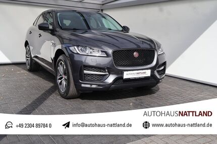 Jaguar F-Pace Gebrauchtwagen