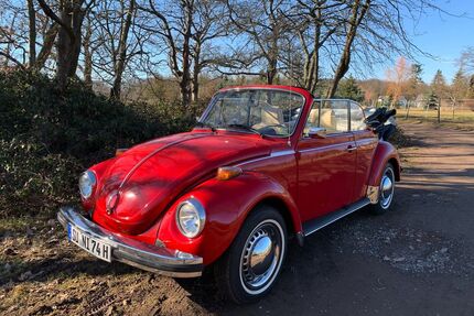 VW Käfer Gebrauchtwagen