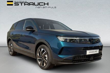 Opel Grandland (X) Gebrauchtwagen