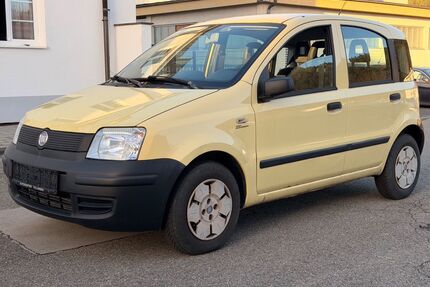 Fiat Panda Gebrauchtwagen