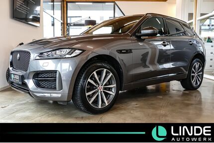 Jaguar F-Pace Gebrauchtwagen