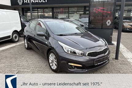 Kia ceed / Ceed Gebrauchtwagen