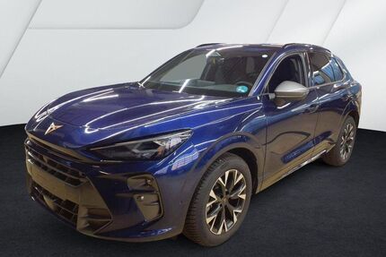 Cupra Terramar Gebrauchtwagen