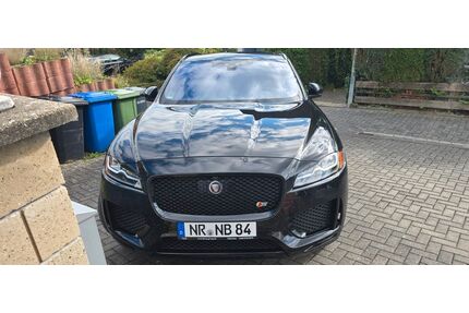 Jaguar F-Pace Gebrauchtwagen