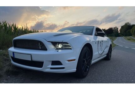 Ford Mustang Gebrauchtwagen