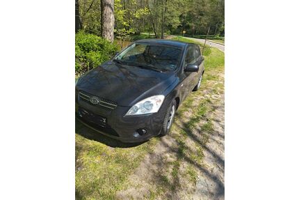 Kia ceed / Ceed Gebrauchtwagen