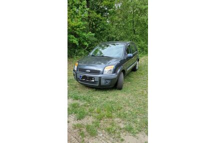 Ford Fusion Gebrauchtwagen