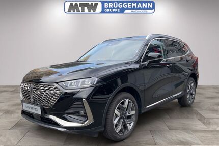 WEY Coffee 02 Gebrauchtwagen