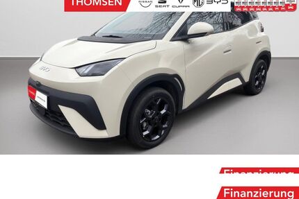 BYD DOLPHIN SURF Gebrauchtwagen