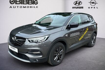 Opel Grandland (X) Gebrauchtwagen