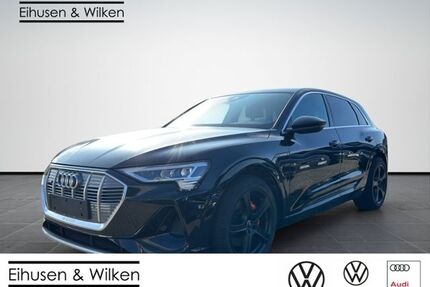 Audi e-tron Gebrauchtwagen