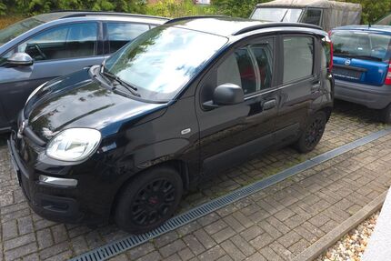 Fiat New Panda Gebrauchtwagen