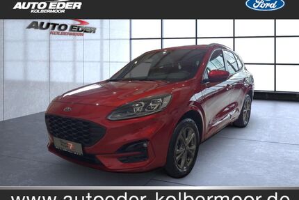Ford Kuga Gebrauchtwagen