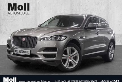 Jaguar F-Pace Gebrauchtwagen